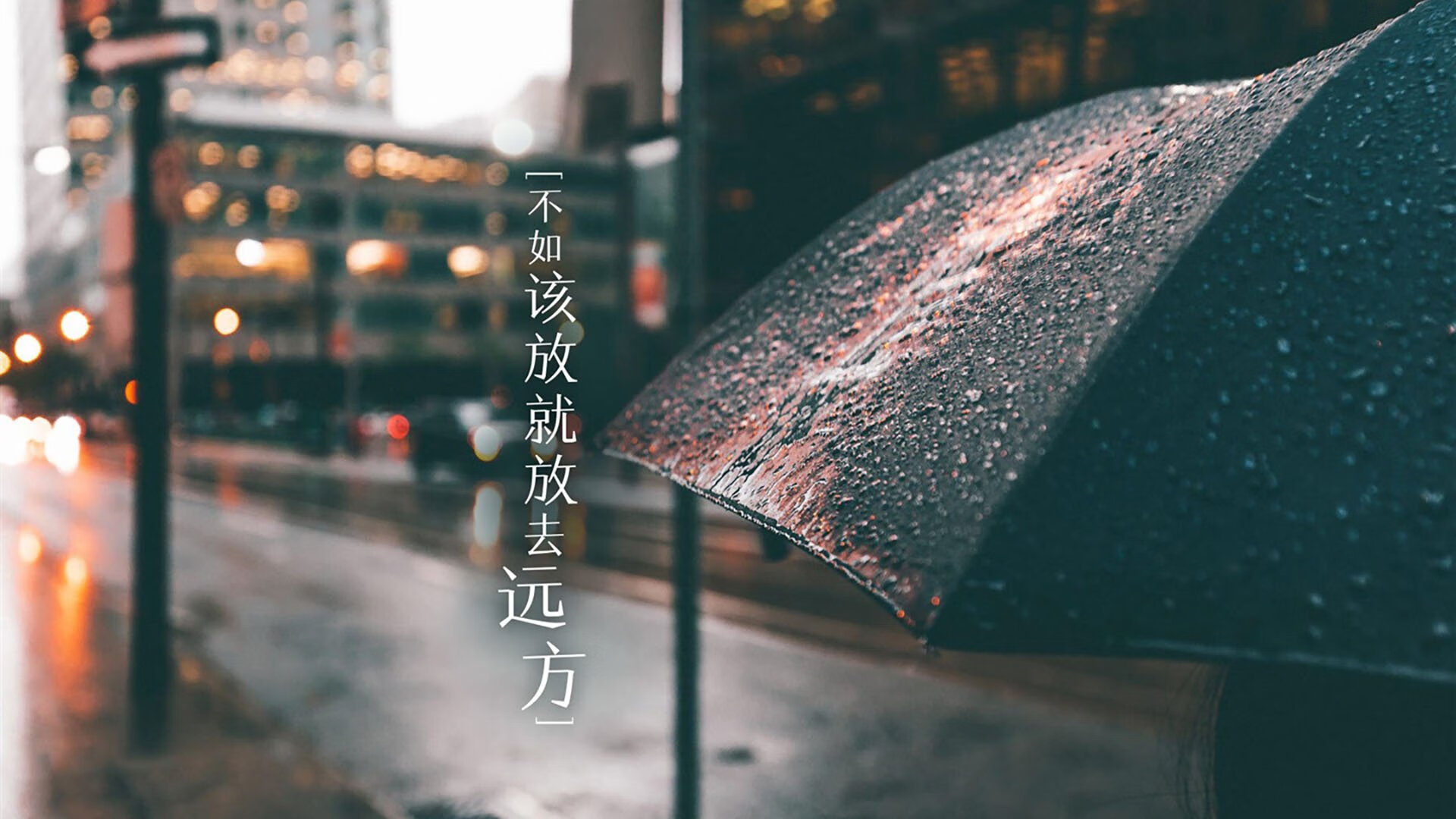 爱游戏娱乐网址-冠军车手的专属训练营：揭秘他们的每日习惯，冠军赛车手