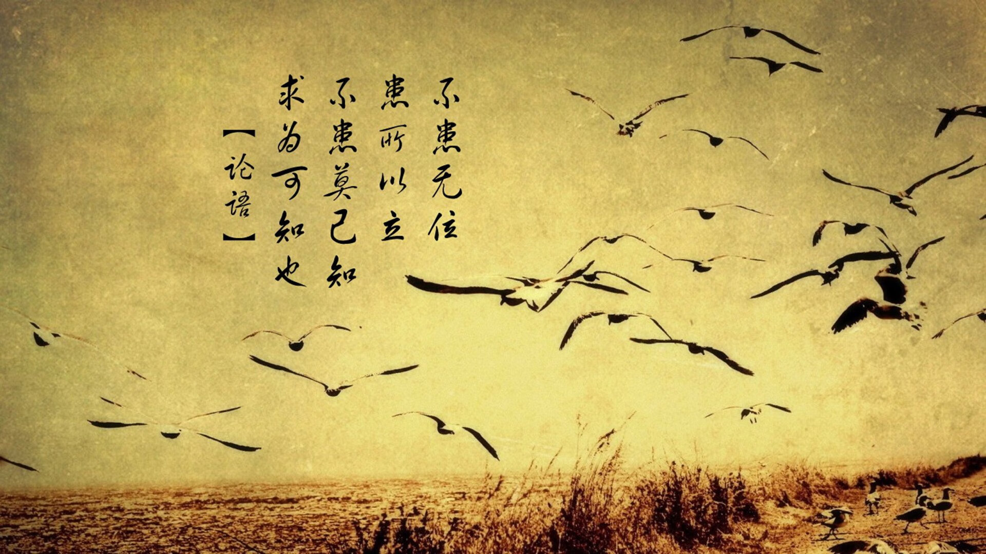 爱游戏体育平台-英超球队引入神经反馈训练提升球员注意力集中度，英超 俱乐部培养