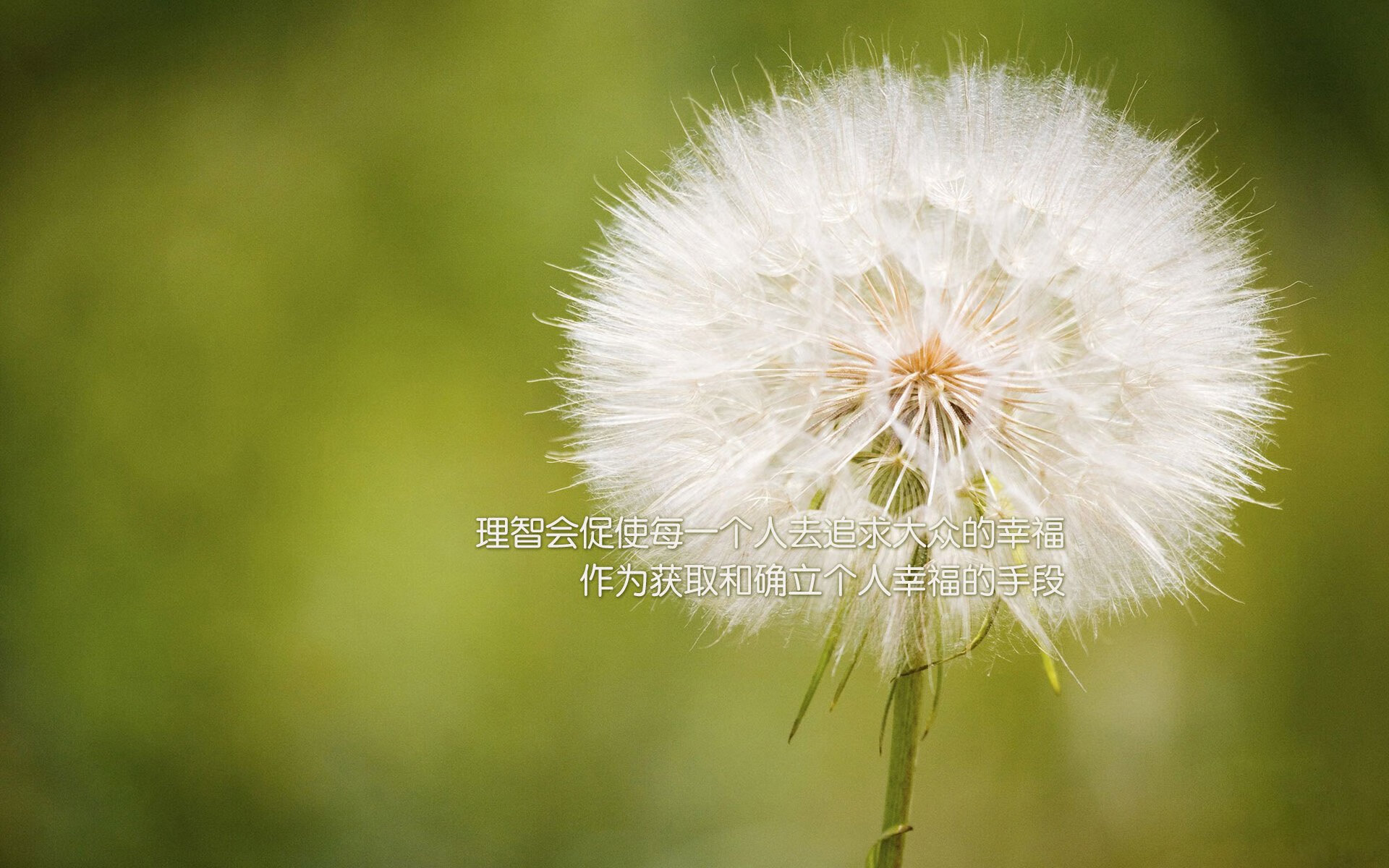 爱游戏-运动能力发展平台数据可视化技术应用分析，运动能力发展平台数据可视化技术应用分析报告