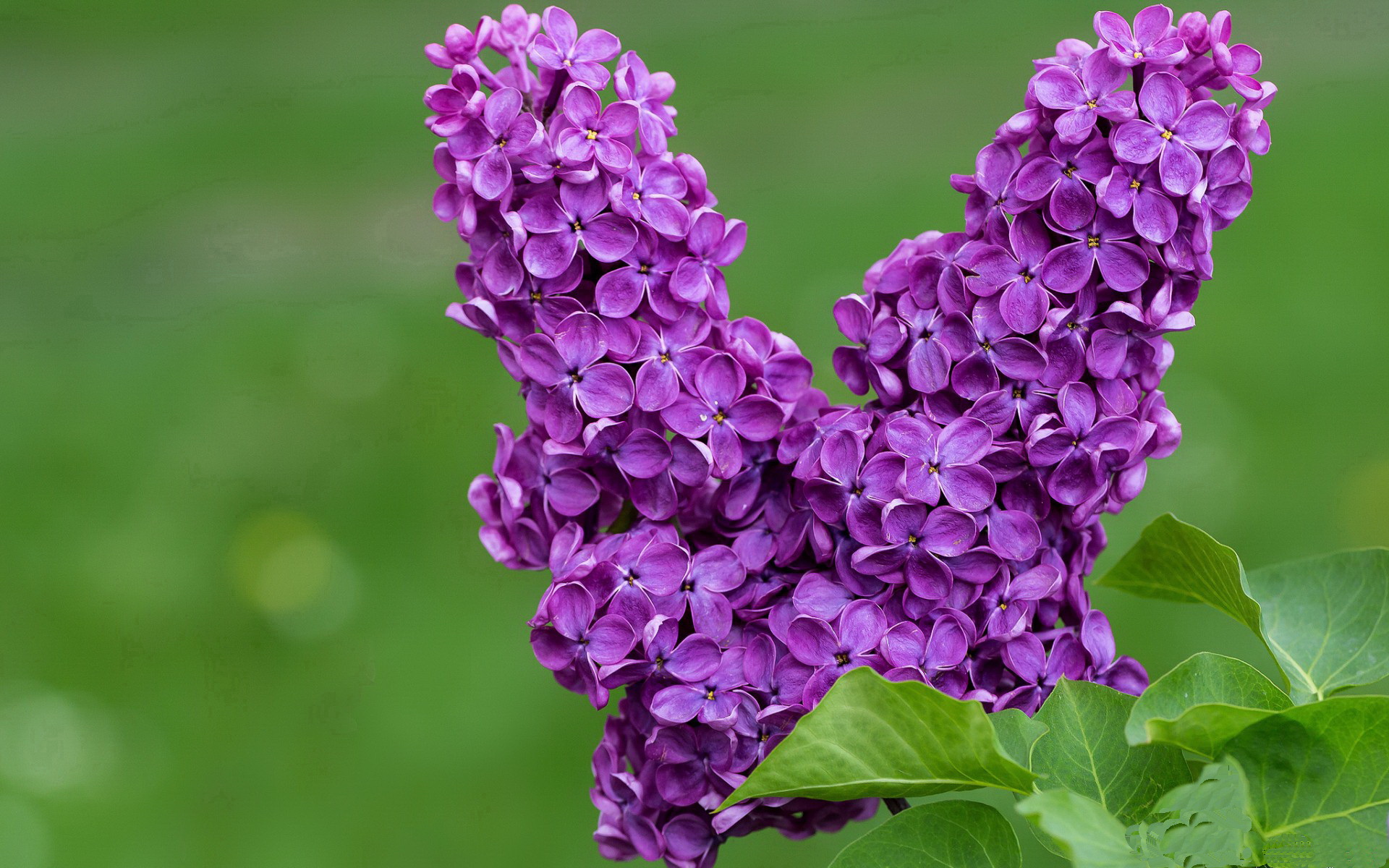 -CS2新引擎优化上线比赛节奏更加流畅，cs2引擎模拟器