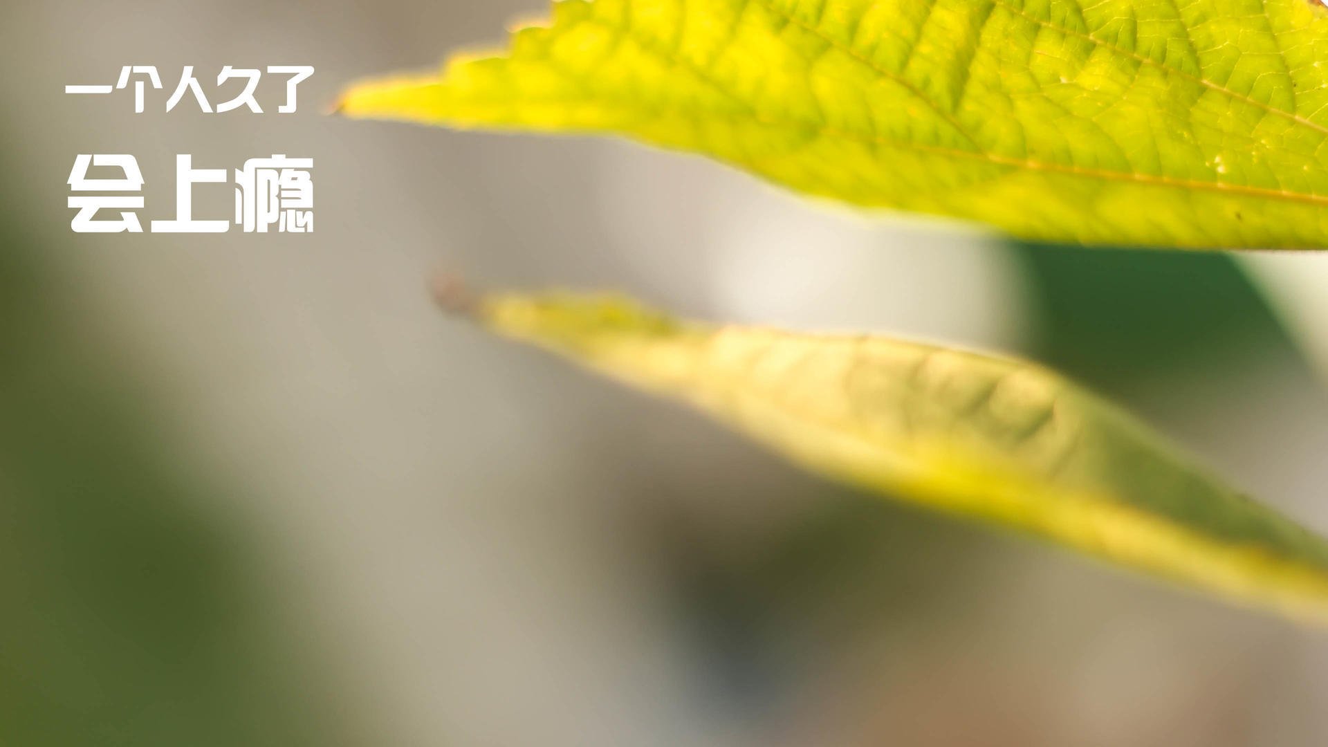 “亲子欢乐跑，香港牛仔3K亲子跑迎接家庭挑战”