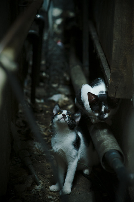 爱游戏登录入口-中国三人女篮战术配合日益成熟，中国三人女篮百度百科