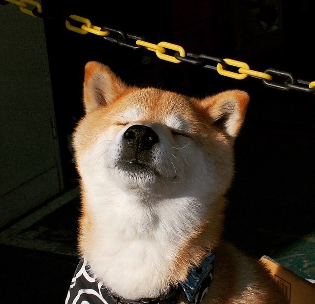 数据揭示:中美蝶泳转身时间同步提升,中游体育蝶泳视频