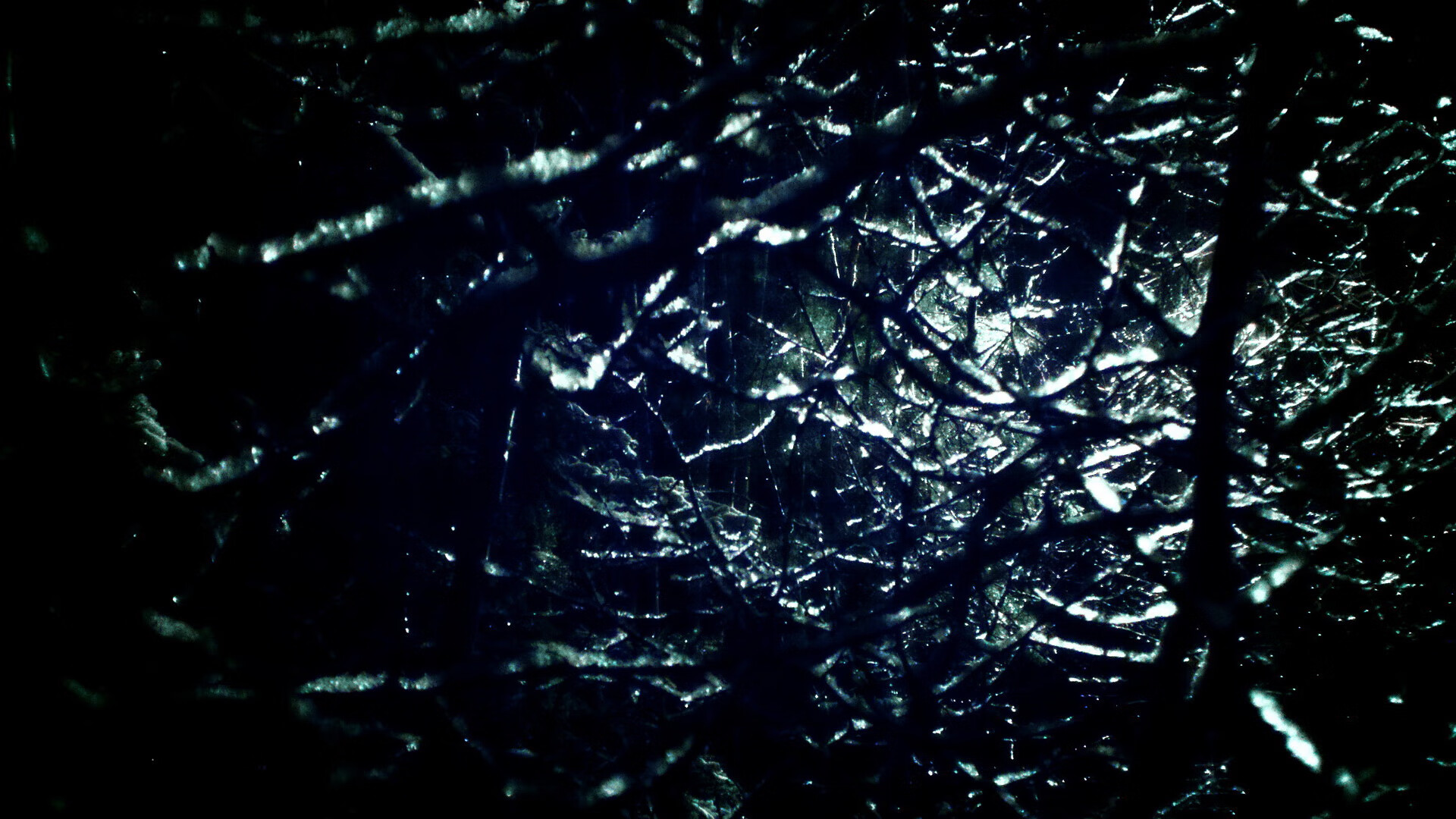 澳大利亚袋鼠队的战术打法越发成熟,成全球橄榄球新力量,澳洲袋鼠打拳击