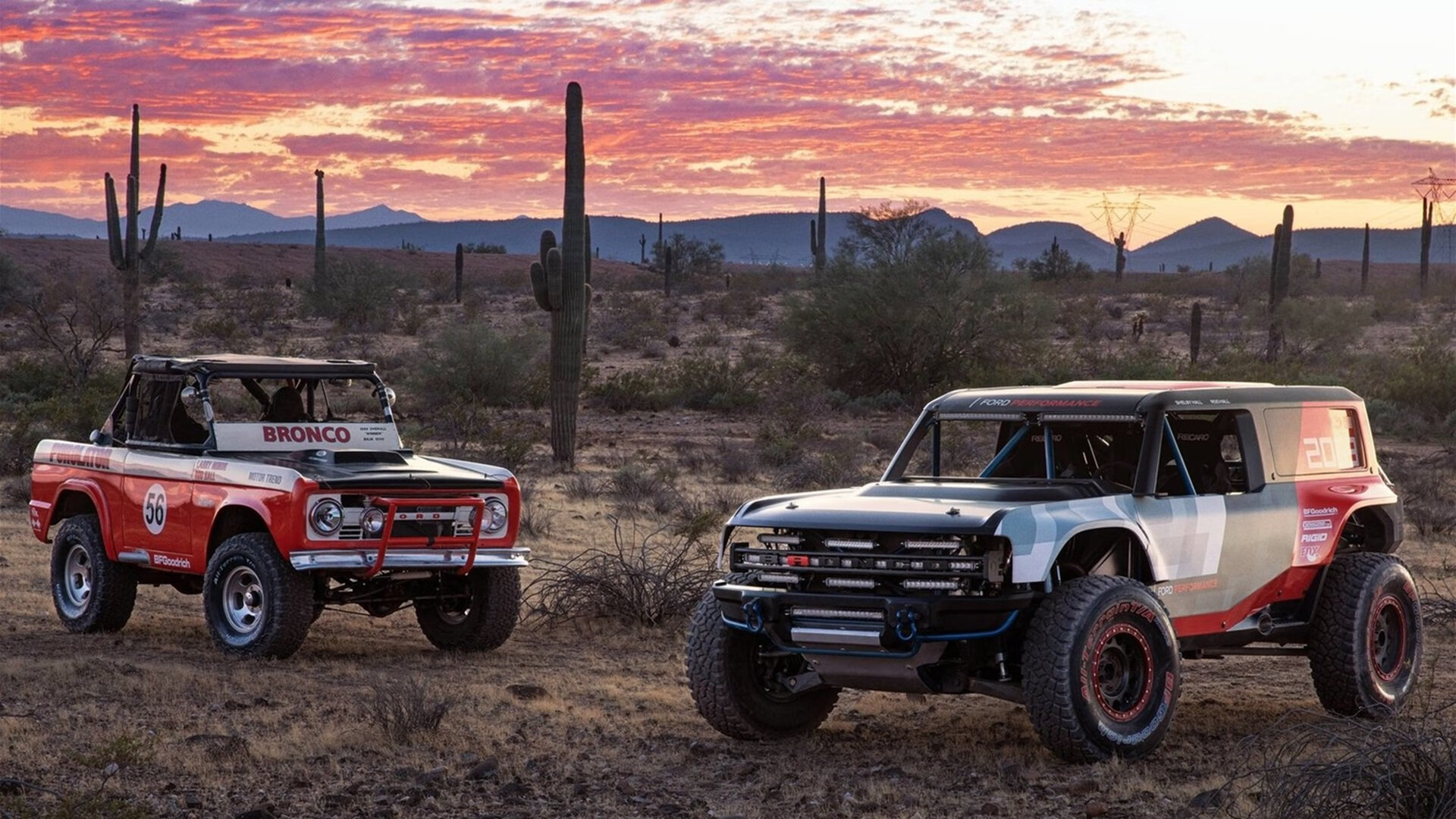 蛙泳赛南非选手发挥稳定，南非蛙泳名将女子