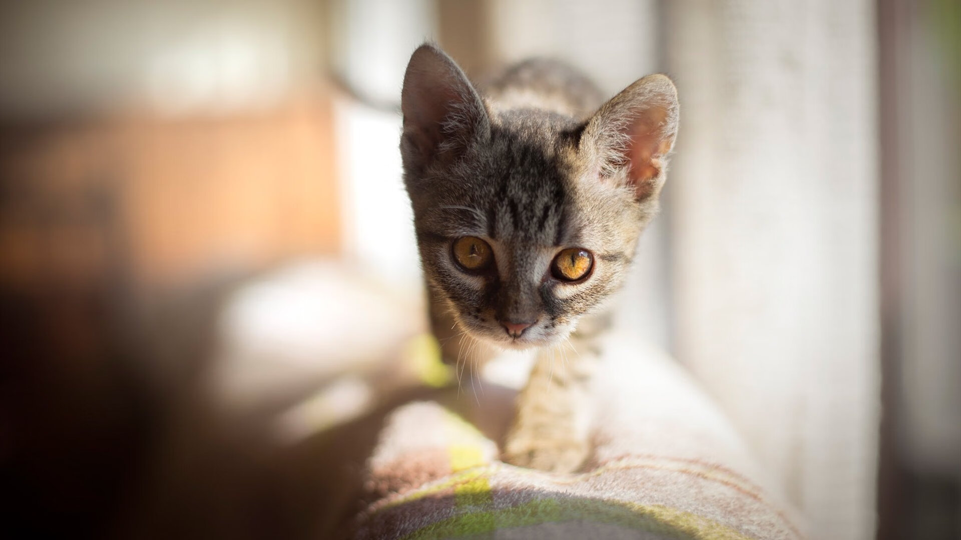 西甲攻防豪门：精彩瞬间不断崛起！，西甲豪门球队排名