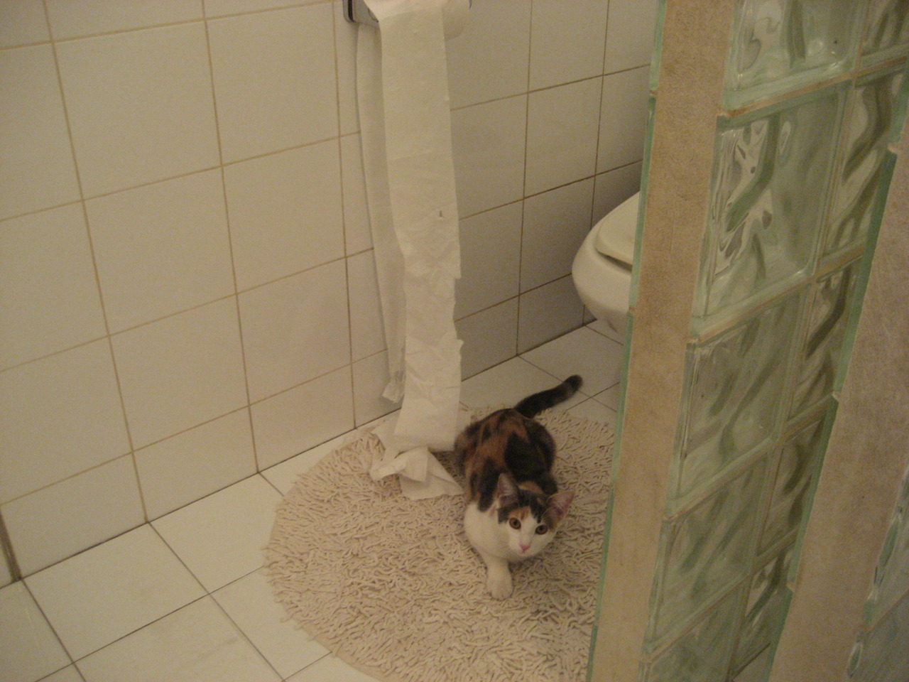 AYX GAME-西甲顶级门将的技术剖析，西甲门将60米吊射