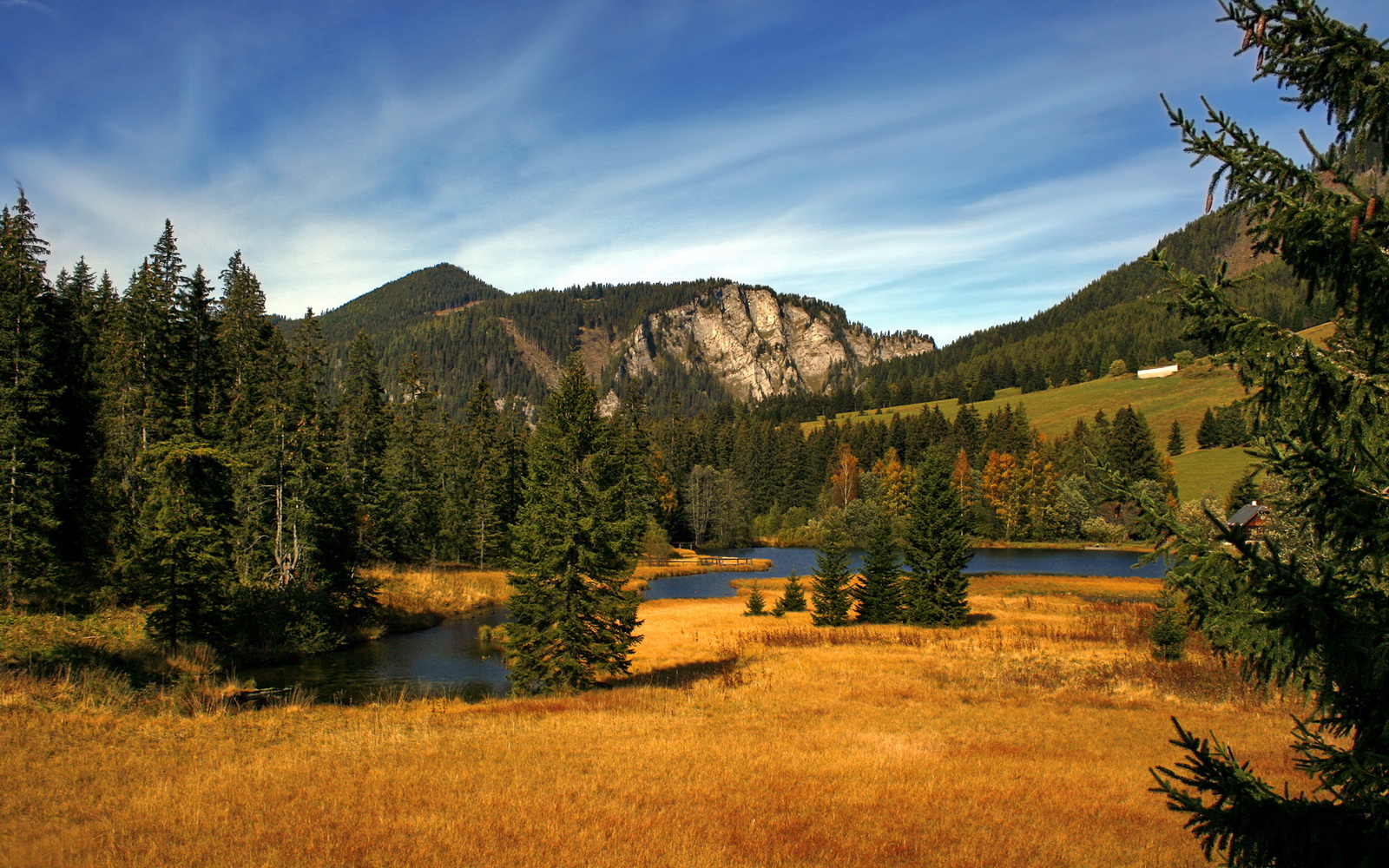 阿莱克西蝶泳发力阶段完美控制，阿莱克西亚·阿西福特