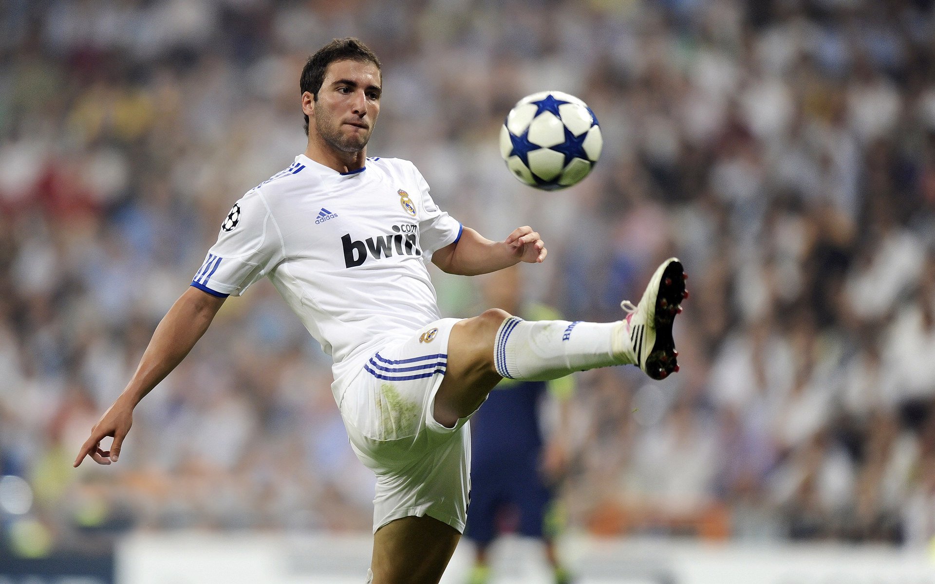 里奇·麦考：作为全黑队的防守核心，成就不可复制的橄榄球传奇