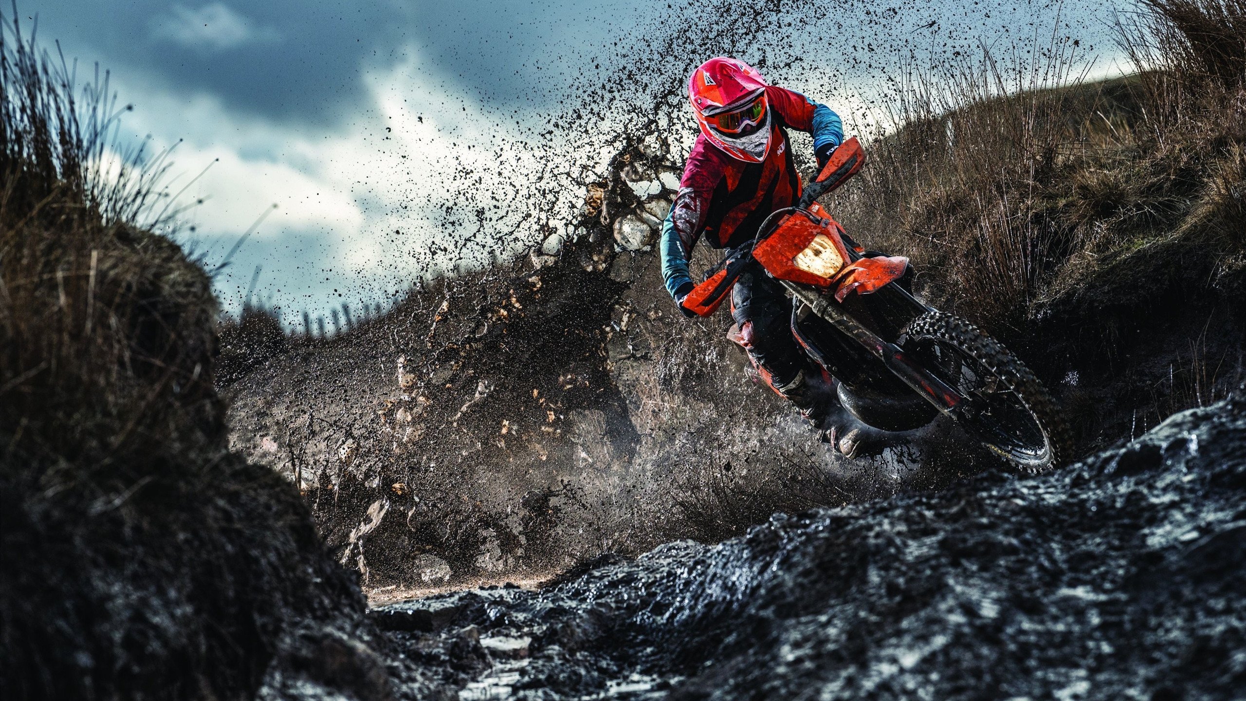 女子200自赛场美队强势包夹澳洲